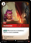 OGS 003/024 - Incinerate