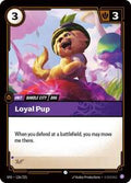 SFD 126/221 - Loyal Pup