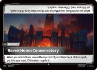 SFD 215/221 - Ravenbloom Conservatory